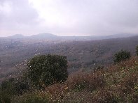 nte Ilice-20110120 040